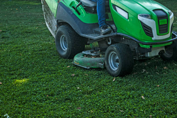 istock Autumn work in the park. A gardener mows the grass 1348968927