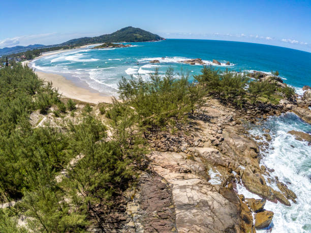 istock Aerial view with waves, rocks and pine trees 1348969942