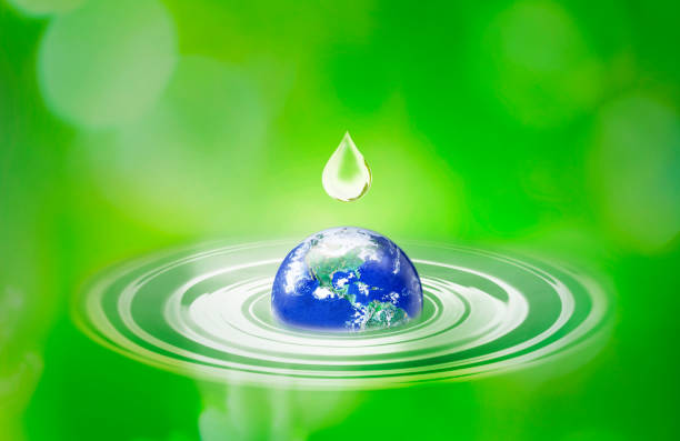 istock Save Nature World  And Water Day concept 1348971069