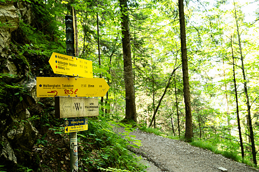 Wooden directional trail sign in the forest next to a hiking trail and footpath in the Bavarian Alps and around lake Tegernsee. Photo taken July 21 2021 at Tegernsee, Germany.