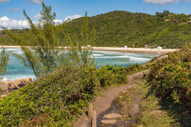 istock Trail to the beach with rocks and vegetation 1348972341