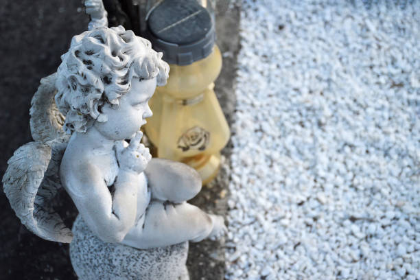 Lion Statue in the Snow in Front of a Mansion