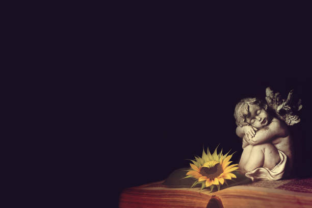 istock Condolence card with a sleeping angel and sunflower on open book, dark background with copy space 1348973728