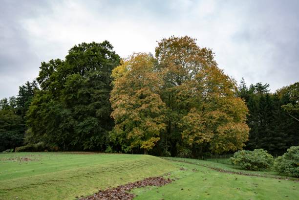 istock Scottish Countryside Leaves Beginning To Turn. 1348975127