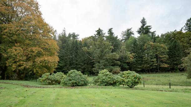 istock Scottish Countryside Leaves Beginning To Turn. 1348975264