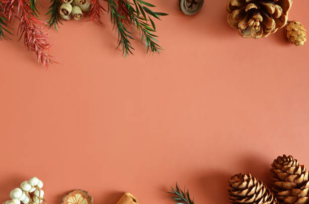 istock Empty Cover design with pine cones and dried fruit in the natural concept. 1348975678