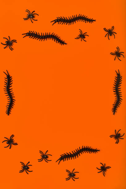 istock scary creative frame for Halloween celebration on orange background. decor for Halloween in the form of black color insects. concept for holiday postcard, banner with place for text. top view 1348977930