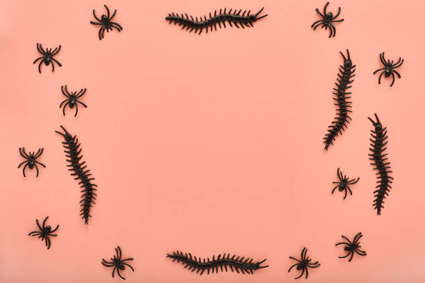 istock scary frame for Halloween with place for text. decor for Halloween in black on a light pink background. minimalistic flat lay composition 1348977937