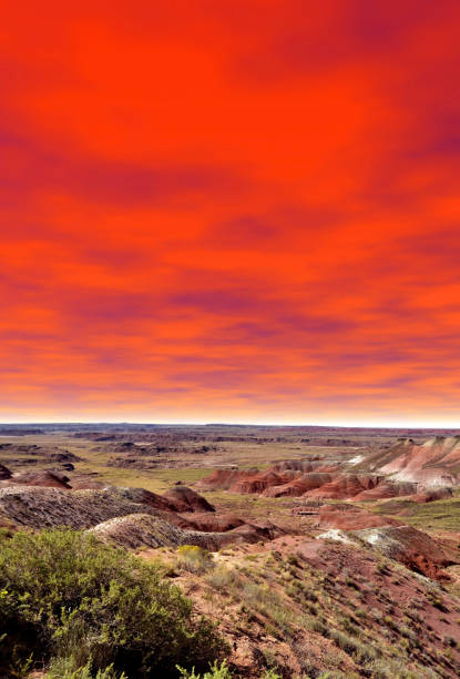 istock petrified forest in Arizona 1348979369