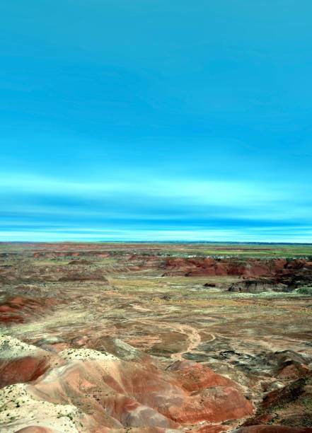 istock petrified forest in Arizona 1348979380