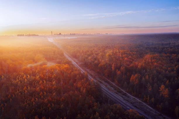 istock Railway road passing through autumn forest during sunrise. Aerial view. 1348982109