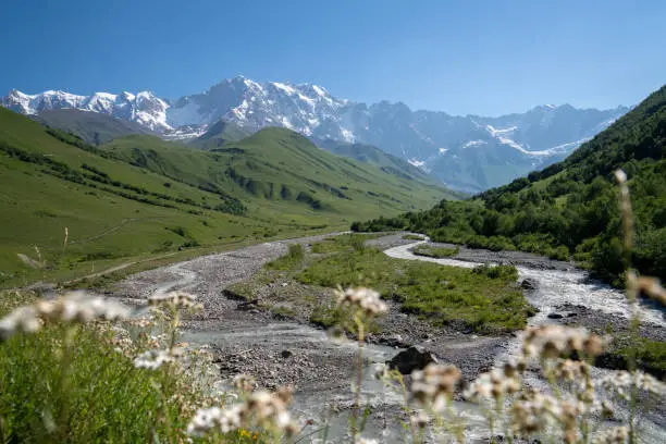 Beautiful mountain landscape in Georgia Svaneti. The snow-capped peaks of mount Shkhara near the Ushguli village are visible on a sunny day. A river flows between the green hills.