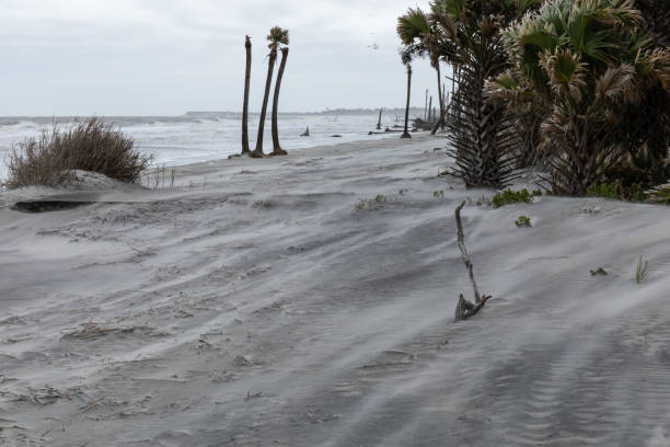 istock Coastal storm hurricane with blowing sand on beach and heavy surf ocean waves beyond 1348982824