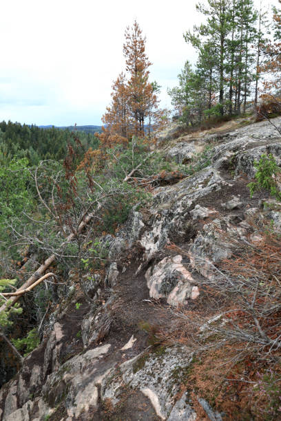 Slope of Mount Hiidenvuori