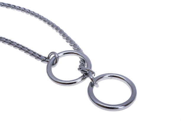 istock ring chain for dogs isolated 1348986369