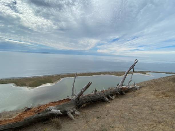 Ebey’s landing national reserve park trail