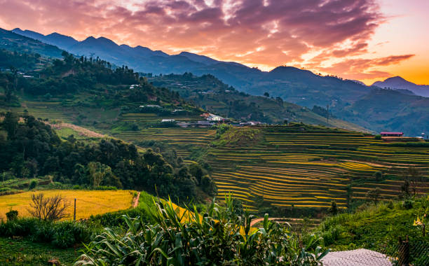 istock Landscape view of rice fields in Mu Cang Chai District, VIetnam 1348990981