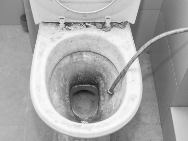 istock dirty sanitary bowl 1348992439