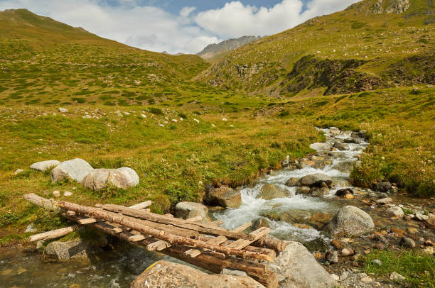 istock Tree bridge in valley of Gorge Irik Chat 1348992765