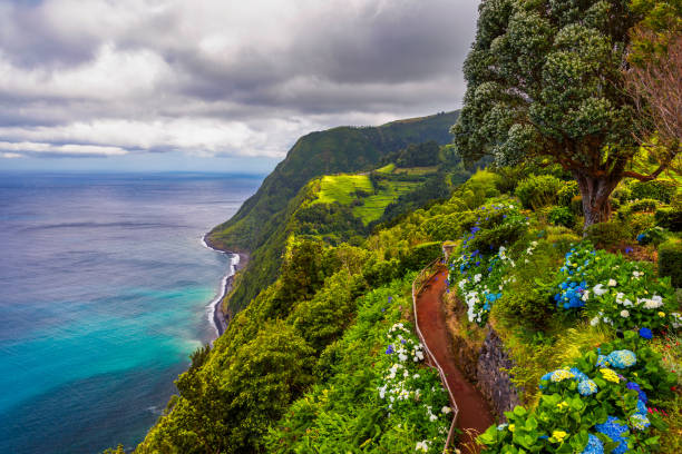 Viewpoint Ponta do Sossego, Sao Miguel Island, Azores, Portugal. View of flowers on a mountain and the ocean in Miradouro da Ponta do Sossego Nordeste, Sao Miguel, Azores, Portugal. Viewpoint Ponta do Sossego, Sao Miguel Island, Azores, Portugal. View of flowers on a mountain and the ocean in Miradouro da Ponta do Sossego Nordeste, Sao Miguel, Azores, Portugal. san miguel portugal stock pictures, royalty-free photos & images