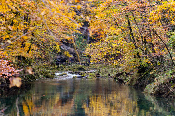 Autumn in Croatia