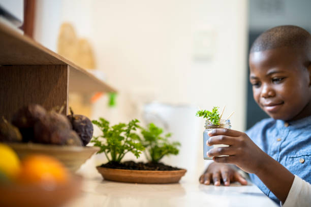 istock Young boy holding small plant in glass jar on kitchen counter 1349005030