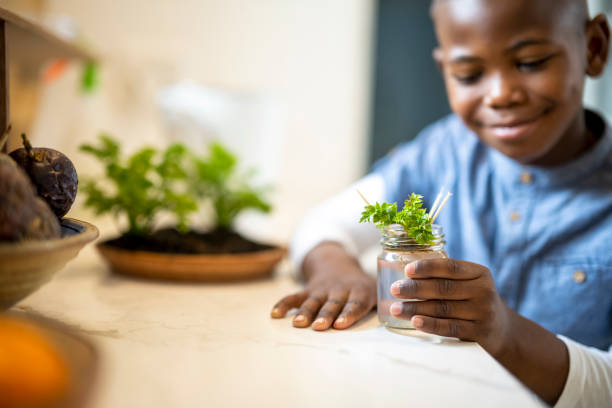 Boy holds small plant in glass jar