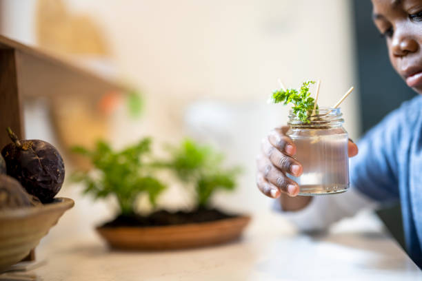 istock Selective focus young boy holding plant growing from off cuts in glass jar 1349005061