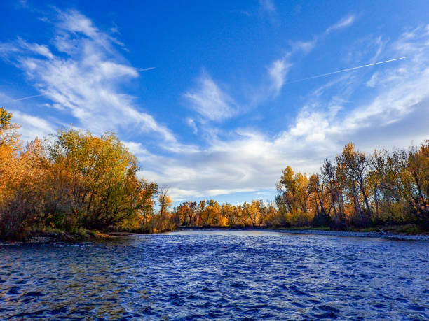 istock Fall colors on the Boise River, Boise, Idaho 1349005928