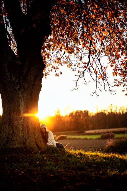 Austria. A young woman sits by a chestnut tree watching the autumn sunset.