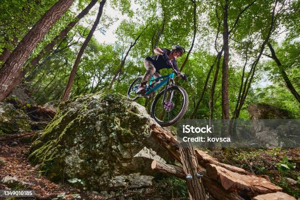 Enduro Biker On A Selfconstructed Challenging Trail In The Woods Stock Photo - Download Image Now