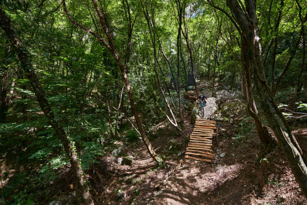Enduro biker on a self-constructed challenging trail in the woods