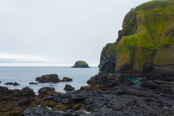 istock Elephant shape rock, Vestmannaeyjar island beach, Iceland 1349010727