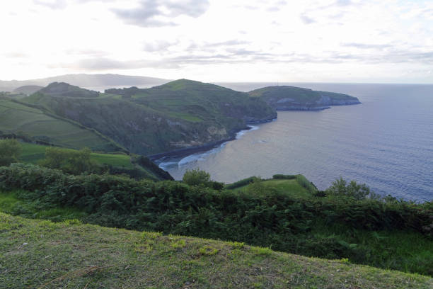istock wild nature on the azores islands 1349013672