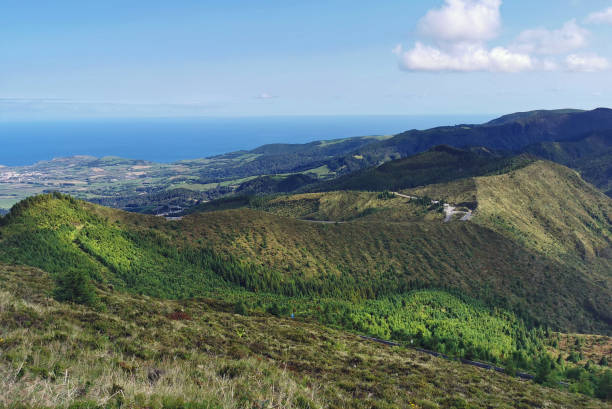 istock wild nature on the azores islands 1349014993