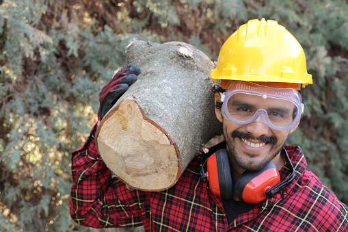 Professional lumberjack in the woods.