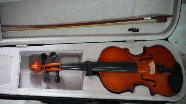 istock new violin images in box at home 1349015439