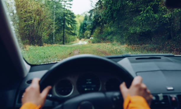 istock Driver dressed bright orange jacket driving a modern off road left hand drive LHD car on the mountain green forest country road. POV inside car windshield view point. Safely auto driving concept. 1349016950