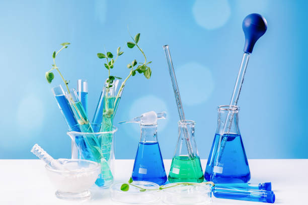 istock Lab test. Scientific experiment.Chemistry experiment concept in science laboratory , science flasks of different sizes contain different chemicals.Laboratory equipment, glass flasks, pipettes. 1349016967