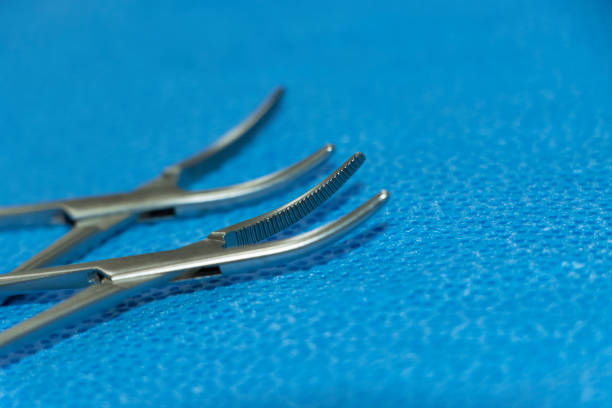 Hemostats Artery Forceps Tip In Blue Background. Selective Focus Closeup Image Of Hemostats Artery Forceps Tip In Blue Background. Selective Focus forceps stock pictures, royalty-free photos & images