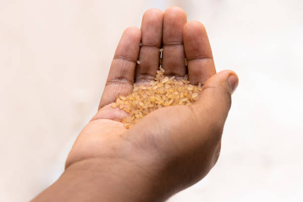 istock Lady Holding Kerala Matta Rice In Hand. Selective Focus 1349018430