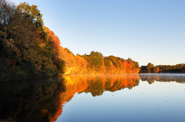 istock Beautiful New England Fall Foliage with reflections at sunrise, Boston Massachusetts. 1349023549