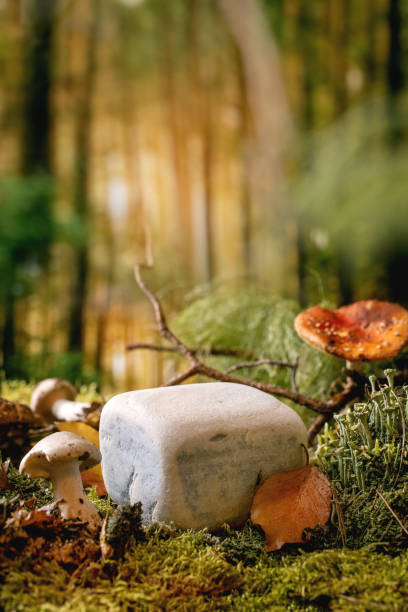 istock Fairy tale ambiance magical autumn forest background 1349023733