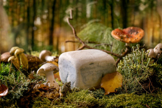 istock Fairy tale ambiance magical autumn forest background 1349023734