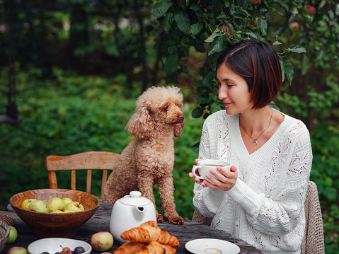 young asian woman having breakfast in autumn garden table under apple tree with her faithful pet poodle. idea and concept of cozy autumn and relaxation at home