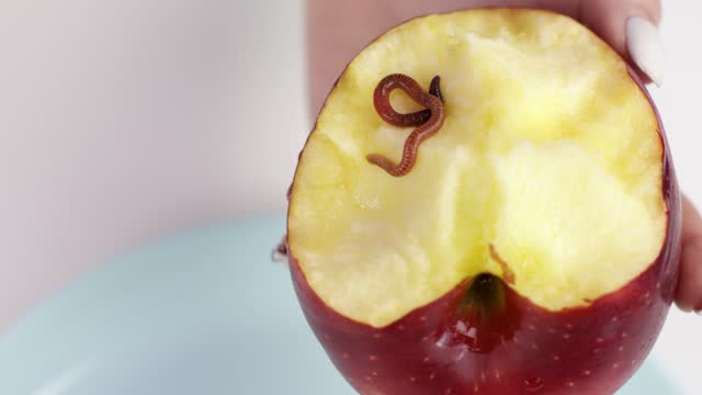 Close-up of the worm will come out of the apple.