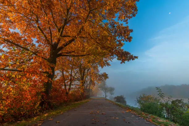 Cycle route with color autumn trees in fresh foggy sunrise beautiful morning