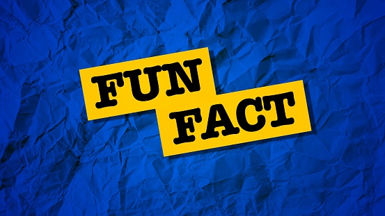 The words fun fact in black, bordered by yellow, on a blue textured background.