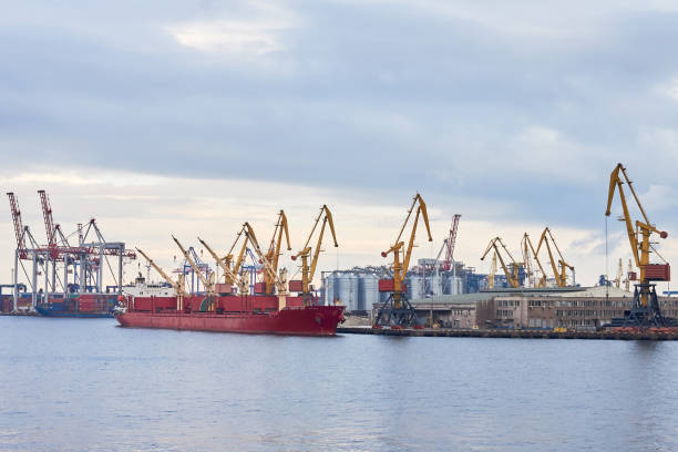 istock Cargo container terminal of sea freight industrial port. Lifting cargo cranes 1349031580