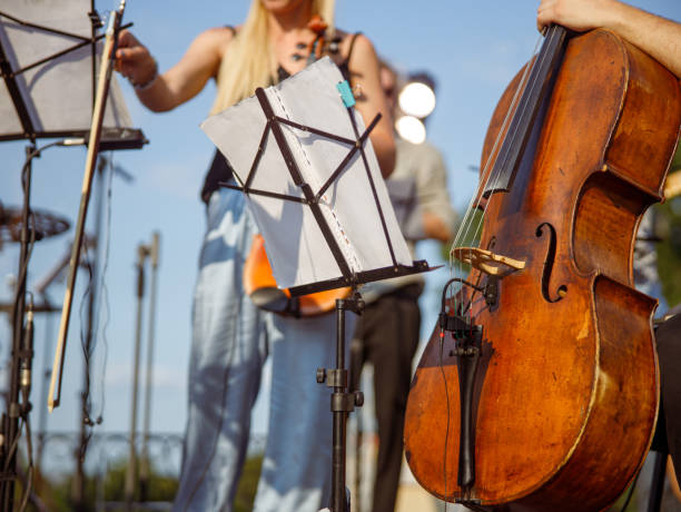 istock Musician with violoncello sitting near music note stand 1349031723